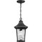 Progress Lighting Marquette Collection One-Light Hanging Lantern with DURASHIELD P550062-031 - alternate 8